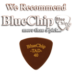 Blue Chip Picks